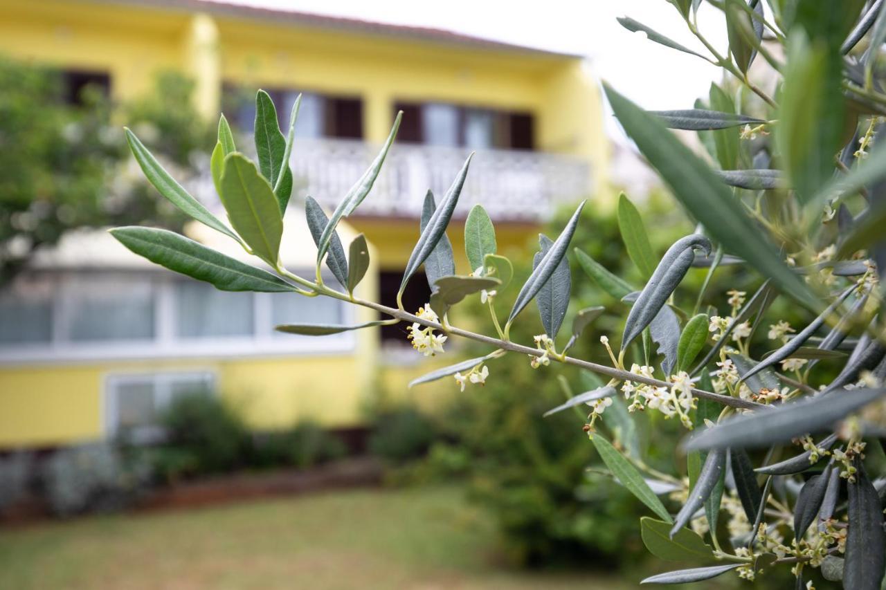 Apartment Drago *Cosy & Close To The Beach! Krk Town Esterno foto